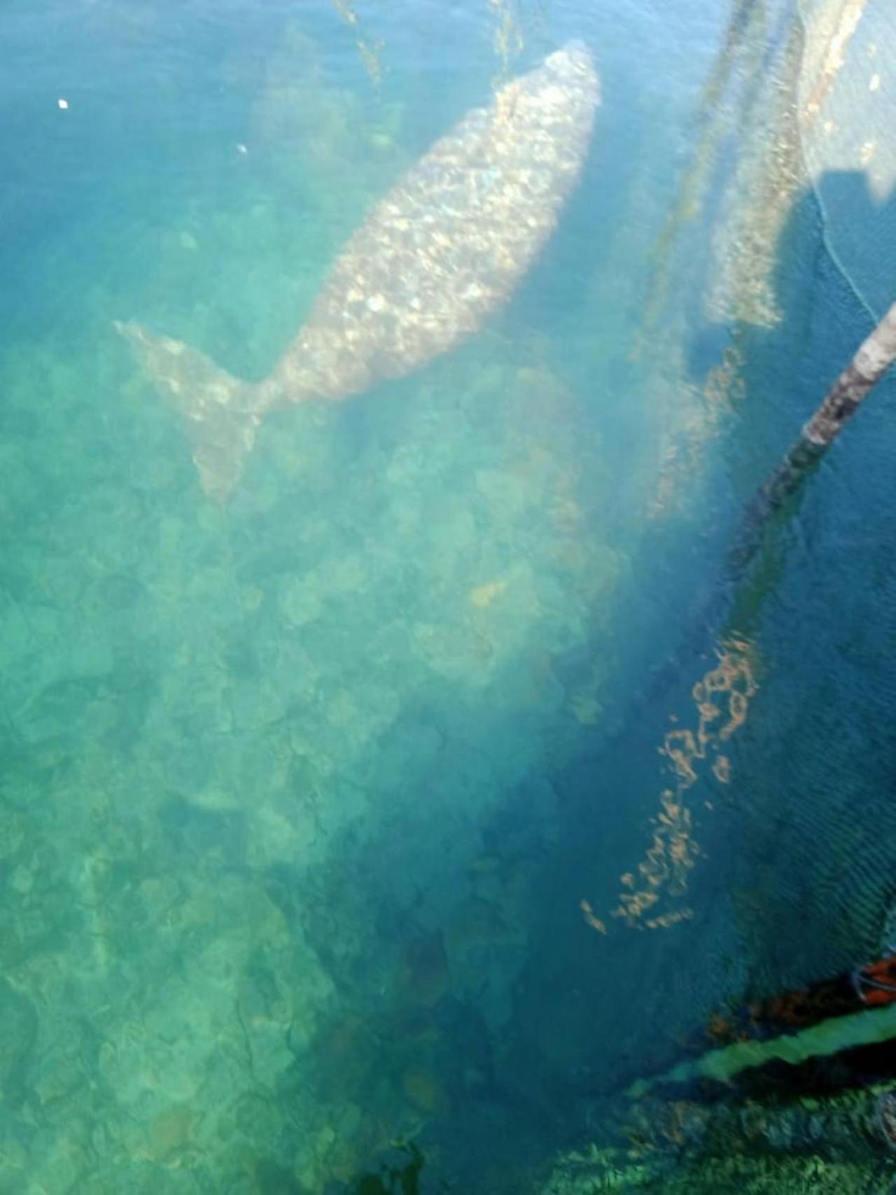 Pondok Wisata Noah Likupang Bagian luar foto